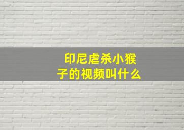 印尼虐杀小猴子的视频叫什么