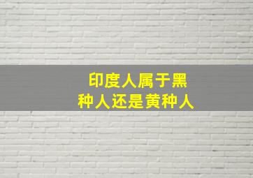 印度人属于黑种人还是黄种人