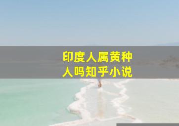 印度人属黄种人吗知乎小说