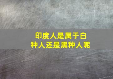 印度人是属于白种人还是黑种人呢