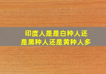 印度人是是白种人还是黑种人还是黄种人多