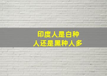 印度人是白种人还是黑种人多