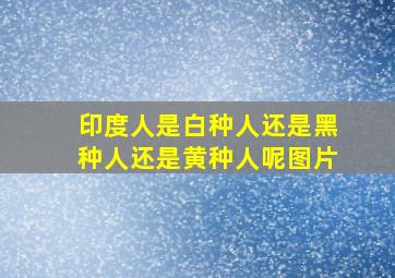 印度人是白种人还是黑种人还是黄种人呢图片