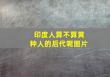 印度人算不算黄种人的后代呢图片