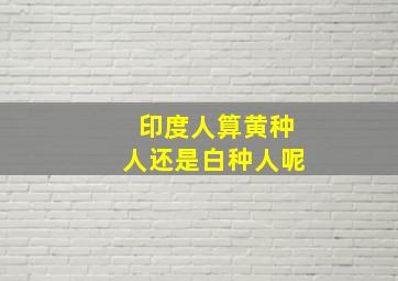 印度人算黄种人还是白种人呢