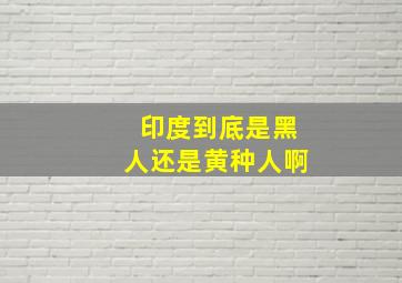 印度到底是黑人还是黄种人啊