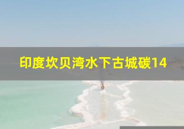 印度坎贝湾水下古城碳14