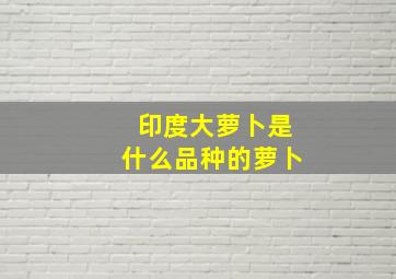 印度大萝卜是什么品种的萝卜