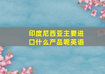 印度尼西亚主要进口什么产品呢英语