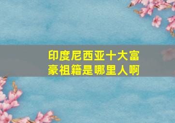 印度尼西亚十大富豪祖籍是哪里人啊