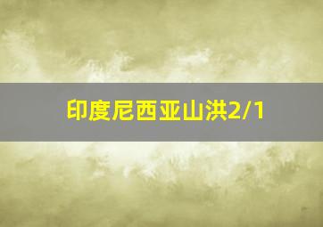 印度尼西亚山洪2/1