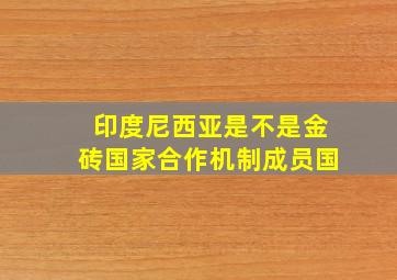 印度尼西亚是不是金砖国家合作机制成员国