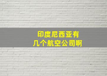 印度尼西亚有几个航空公司啊