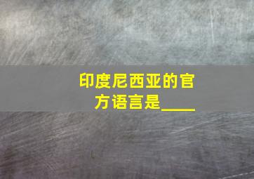 印度尼西亚的官方语言是____