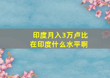 印度月入3万卢比在印度什么水平啊