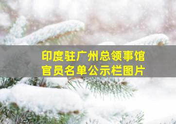 印度驻广州总领事馆官员名单公示栏图片