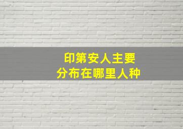 印第安人主要分布在哪里人种