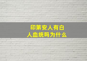 印第安人有白人血统吗为什么