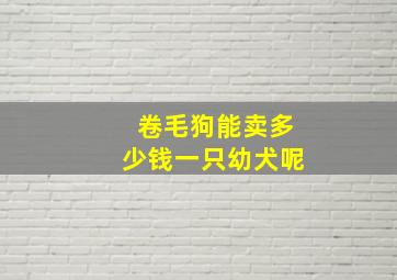 卷毛狗能卖多少钱一只幼犬呢