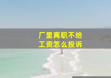 厂里离职不给工资怎么投诉