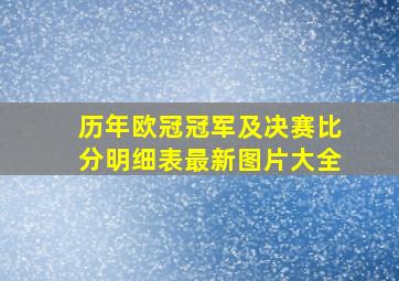 历年欧冠冠军及决赛比分明细表最新图片大全