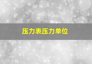 压力表压力单位