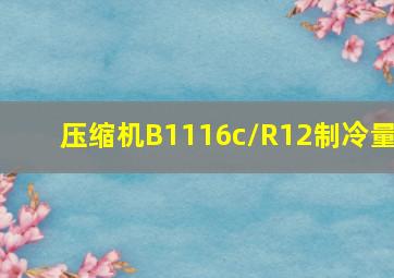 压缩机B1116c/R12制冷量