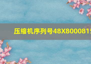 压缩机序列号48X8000815