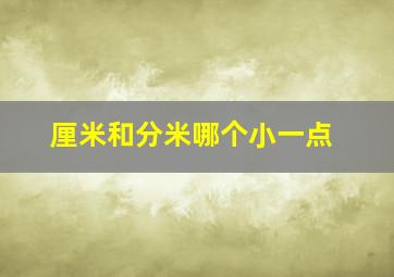 厘米和分米哪个小一点