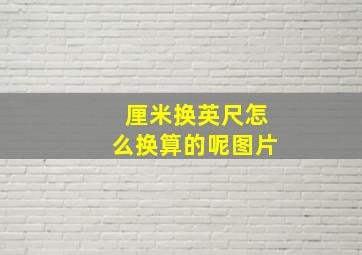 厘米换英尺怎么换算的呢图片