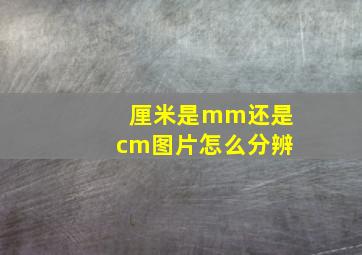 厘米是mm还是cm图片怎么分辨