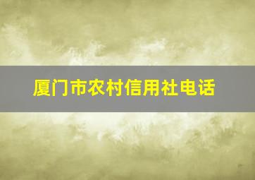 厦门市农村信用社电话