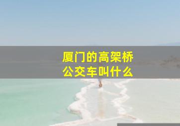 厦门的高架桥公交车叫什么