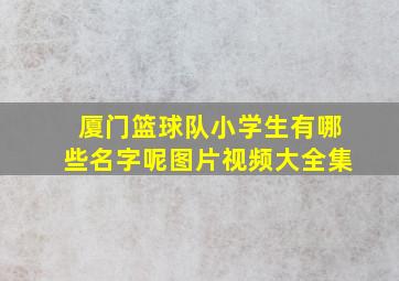 厦门篮球队小学生有哪些名字呢图片视频大全集