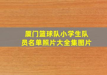 厦门篮球队小学生队员名单照片大全集图片