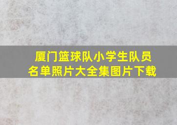 厦门篮球队小学生队员名单照片大全集图片下载