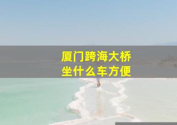 厦门跨海大桥坐什么车方便