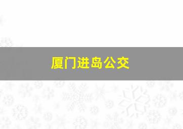 厦门进岛公交