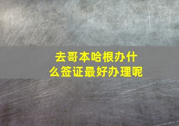 去哥本哈根办什么签证最好办理呢