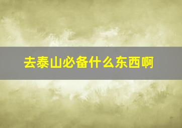 去泰山必备什么东西啊