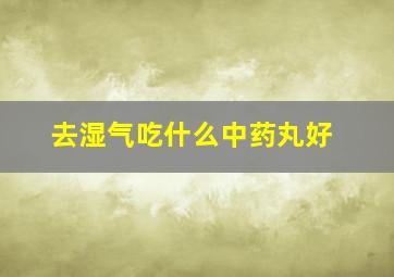 去湿气吃什么中药丸好