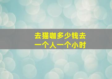 去猫咖多少钱去一个人一个小时