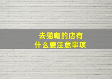 去猫咖的店有什么要注意事项