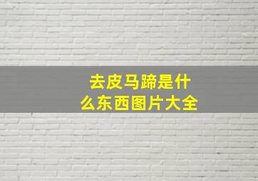 去皮马蹄是什么东西图片大全