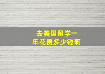 去美国留学一年花费多少钱啊