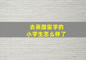 去英国留学的小学生怎么样了