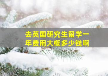 去英国研究生留学一年费用大概多少钱啊