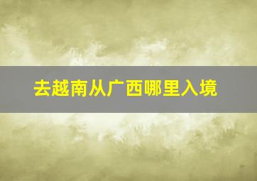 去越南从广西哪里入境