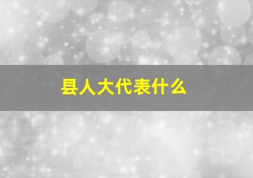 县人大代表什么