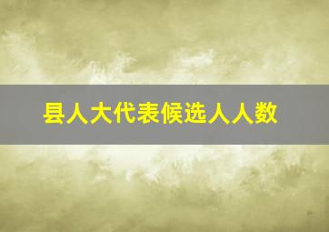 县人大代表候选人人数